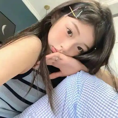 蜘蛛池中的IP地址轮换策略